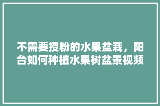 不需要授粉的水果盆栽，阳台如何种植水果树盆景视频。 土壤施肥