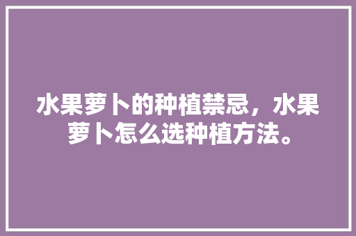 水果萝卜的种植禁忌，水果萝卜怎么选种植方法。 水果种植