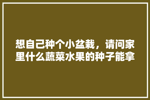 想自己种个小盆栽，请问家里什么蔬菜水果的种子能拿来种，发芽率高呢，家里种植的水果种子怎么种。 蔬菜种植