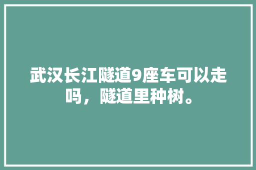 武汉长江隧道9座车可以走吗，隧道里种树。 蔬菜种植