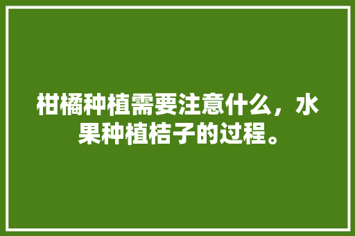 柑橘种植需要注意什么，水果种植桔子的过程。 柑橘种植需要注意什么，水果种植桔子的过程。 土壤施肥