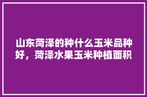 山东菏泽的种什么玉米品种好，菏泽水果玉米种植面积。 蔬菜种植