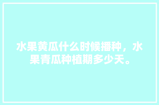 水果黄瓜什么时候播种，水果青瓜种植期多少天。 土壤施肥