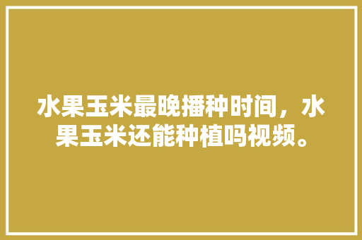 水果玉米最晚播种时间，水果玉米还能种植吗视频。 水果种植