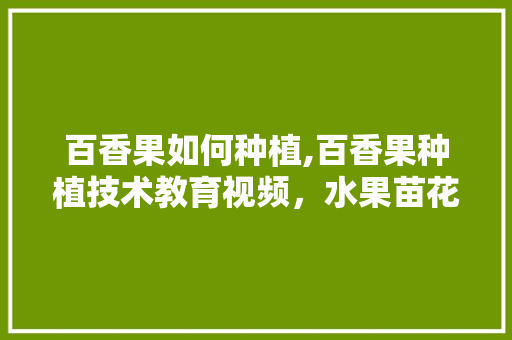 百香果如何种植,百香果种植技术教育视频，水果苗花盆种植视频教程。 百香果如何种植,百香果种植技术教育视频，水果苗花盆种植视频教程。 水果种植