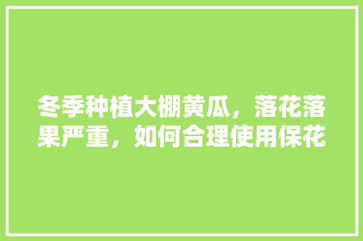 冬季种植大棚黄瓜，落花落果严重，如何合理使用保花、保果剂，水果黄瓜冬季怎么种植视频。 蔬菜种植