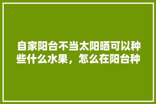 自家阳台不当太阳晒可以种些什么水果，怎么在阳台种植水果树。 水果种植