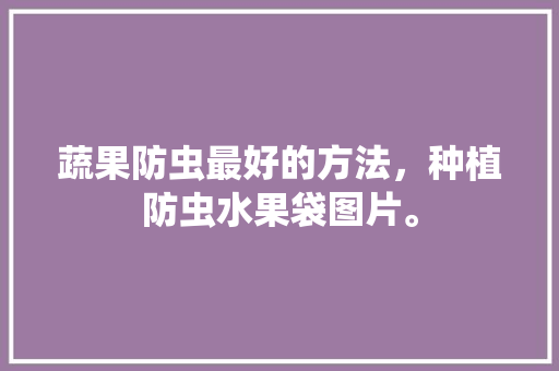 蔬果防虫最好的方法，种植防虫水果袋图片。 家禽养殖