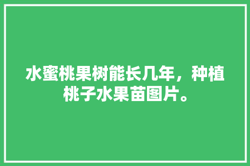 水蜜桃果树能长几年，种植桃子水果苗图片。 畜牧养殖