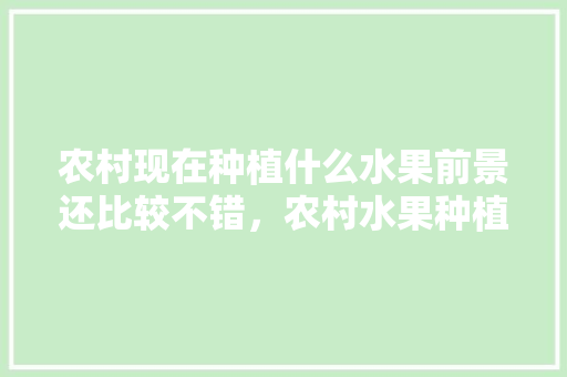 农村现在种植什么水果前景还比较不错，农村水果种植项目有哪些。 土壤施肥