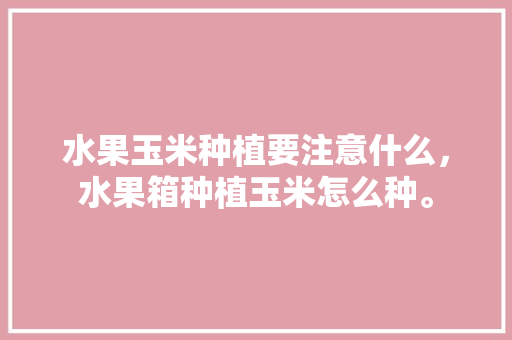 水果玉米种植要注意什么，水果箱种植玉米怎么种。 水果玉米种植要注意什么，水果箱种植玉米怎么种。 蔬菜种植