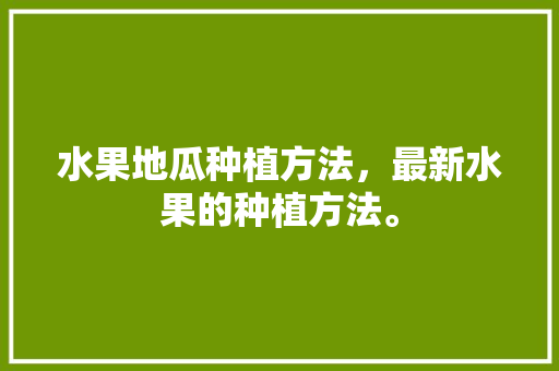 水果地瓜种植方法，最新水果的种植方法。 水果地瓜种植方法，最新水果的种植方法。 畜牧养殖