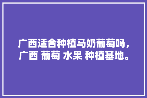 广西适合种植马奶葡萄吗，广西 葡萄 水果 种植基地。 畜牧养殖