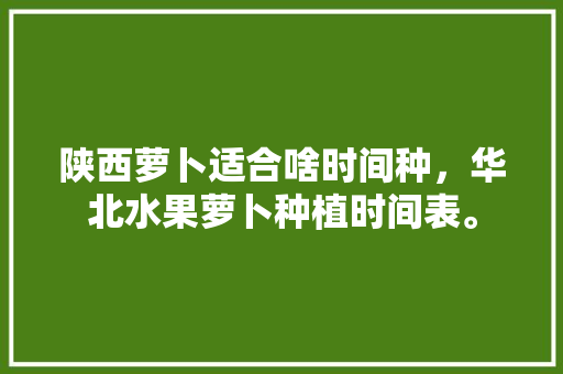 陕西萝卜适合啥时间种，华北水果萝卜种植时间表。 畜牧养殖