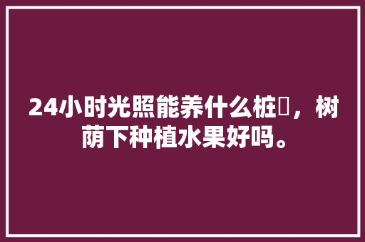 24小时光照能养什么桩榢，树荫下种植水果好吗。 24小时光照能养什么桩榢，树荫下种植水果好吗。 水果种植