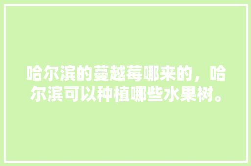 哈尔滨的蔓越莓哪来的，哈尔滨可以种植哪些水果树。 哈尔滨的蔓越莓哪来的，哈尔滨可以种植哪些水果树。 水果种植