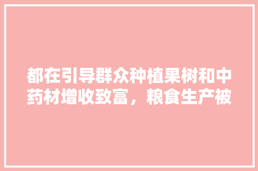 都在引导群众种植果树和中药材增收致富，粮食生产被忽视，以后我们以水果为主食吗，种植药材水果有哪些。 水果种植