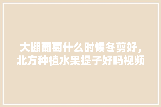 大棚葡萄什么时候冬剪好，北方种植水果提子好吗视频。 土壤施肥