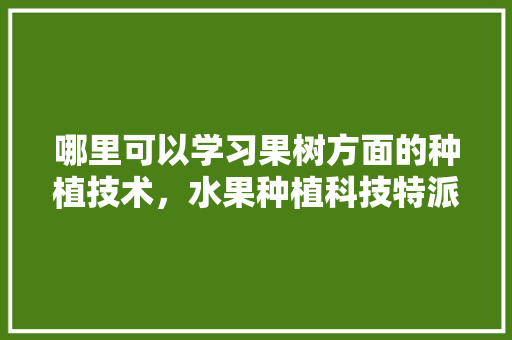 哪里可以学习果树方面的种植技术，水果种植科技特派员年度科技工作报告2023年最新版下载。 土壤施肥