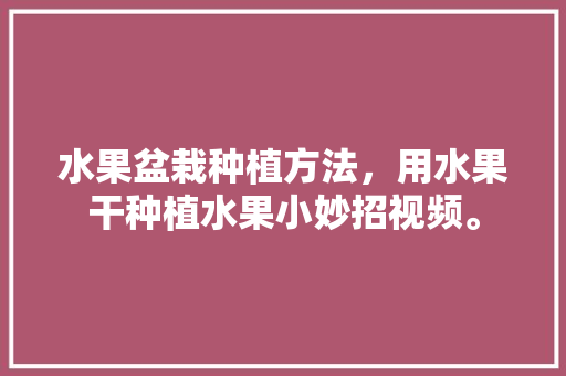 水果盆栽种植方法，用水果干种植水果小妙招视频。 蔬菜种植