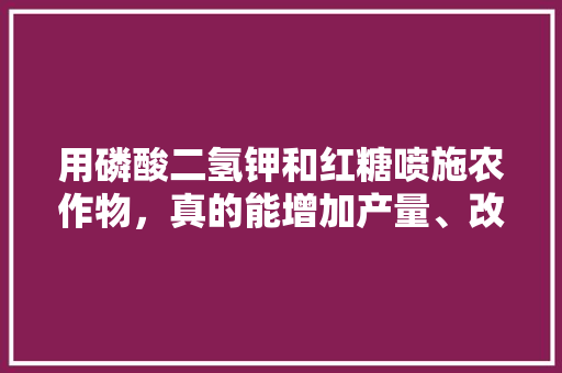 用磷酸二氢钾和红糖喷施农作物，真的能增加产量、改善品质吗，水果种植红糖怎么种植。 用磷酸二氢钾和红糖喷施农作物，真的能增加产量、改善品质吗，水果种植红糖怎么种植。 家禽养殖