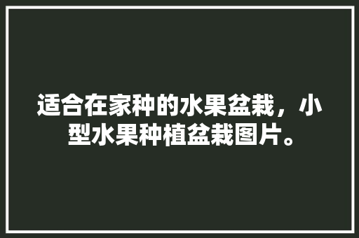 适合在家种的水果盆栽，小型水果种植盆栽图片。 水果种植