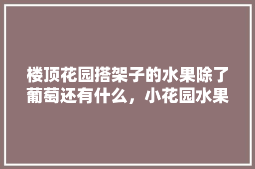 楼顶花园搭架子的水果除了葡萄还有什么，小花园水果种植方法。 畜牧养殖