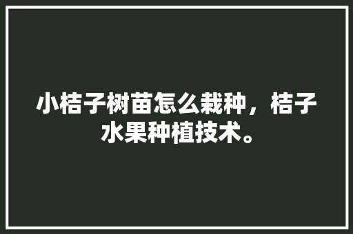 小桔子树苗怎么栽种，桔子水果种植技术。 畜牧养殖