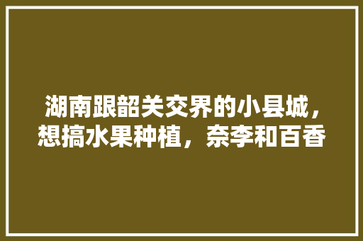 湖南跟韶关交界的小县城，想搞水果种植，奈李和百香果哪种水果易种植价值高些，小县城适合做啥生意。 畜牧养殖