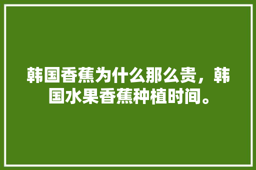 韩国香蕉为什么那么贵，韩国水果香蕉种植时间。 畜牧养殖