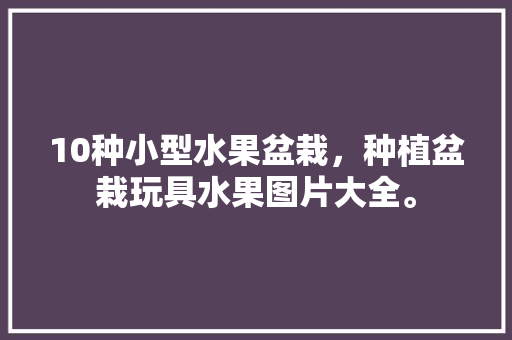 10种小型水果盆栽，种植盆栽玩具水果图片大全。 家禽养殖