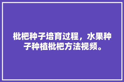 枇杷种子培育过程，水果种子种植枇杷方法视频。 畜牧养殖