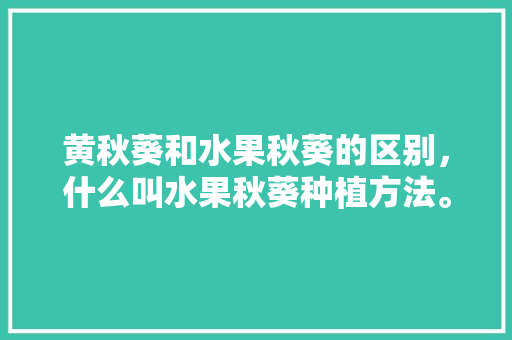 黄秋葵和水果秋葵的区别，什么叫水果秋葵种植方法。 家禽养殖