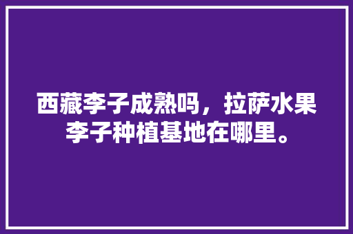 西藏李子成熟吗，拉萨水果李子种植基地在哪里。 家禽养殖