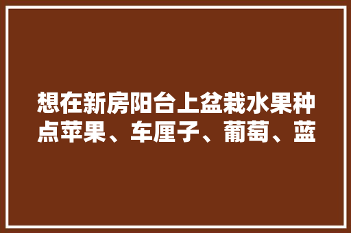 想在新房阳台上盆栽水果种点苹果、车厘子、葡萄、蓝莓，该选择多大的花盆好？该怎么种，大阳台水果种植时间表。 家禽养殖