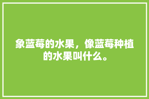 象蓝莓的水果，像蓝莓种植的水果叫什么。 畜牧养殖