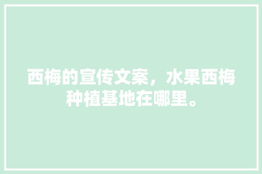 西梅的宣传文案，水果西梅种植基地在哪里。 畜牧养殖