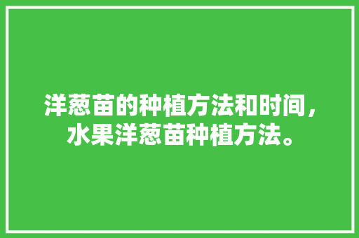 洋葱苗的种植方法和时间，水果洋葱苗种植方法。 家禽养殖