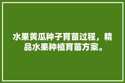 水果黄瓜种子育苗过程，精品水果种植育苗方案。 土壤施肥