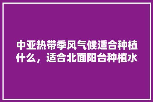 中亚热带季风气候适合种植什么，适合北面阳台种植水果有哪些。 中亚热带季风气候适合种植什么，适合北面阳台种植水果有哪些。 蔬菜种植