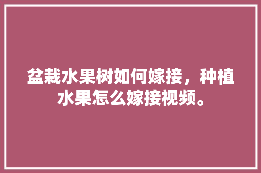 盆栽水果树如何嫁接，种植水果怎么嫁接视频。 畜牧养殖