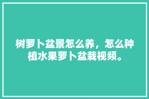 树萝卜盆景怎么养，怎么种植水果萝卜盆栽视频。 蔬菜种植