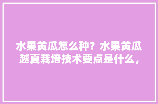 水果黄瓜怎么种？水果黄瓜越夏栽培技术要点是什么，种植水果黄瓜技术要点。 家禽养殖