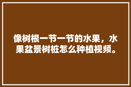 像树根一节一节的水果，水果盆景树桩怎么种植视频。 蔬菜种植