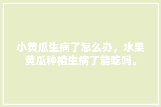 小黄瓜生病了怎么办，水果黄瓜种植生病了能吃吗。 畜牧养殖