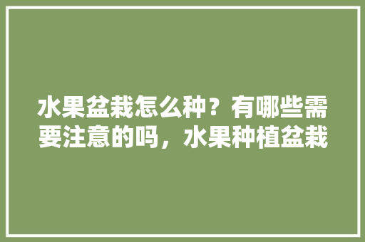 水果盆栽怎么种？有哪些需要注意的吗，水果种植盆栽方法视频。 水果种植