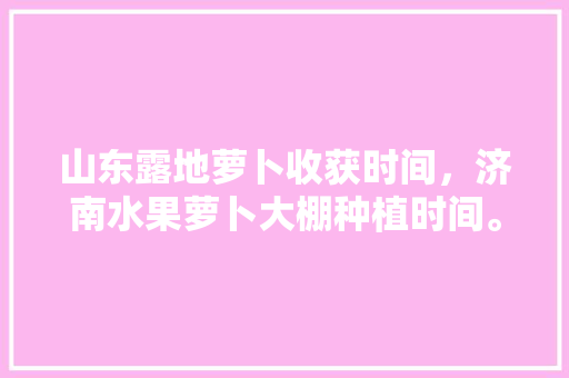 山东露地萝卜收获时间，济南水果萝卜大棚种植时间。 山东露地萝卜收获时间，济南水果萝卜大棚种植时间。 畜牧养殖