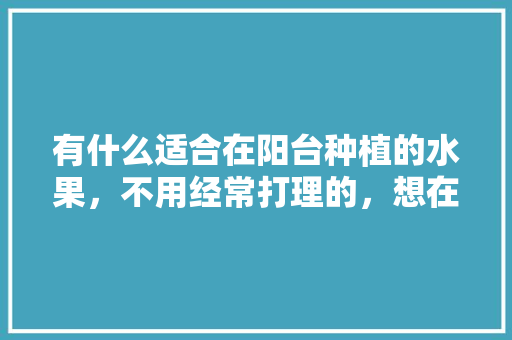 有什么适合在阳台种植的水果，不用经常打理的，想在阳台种植蔬菜水果怎么办。 水果种植