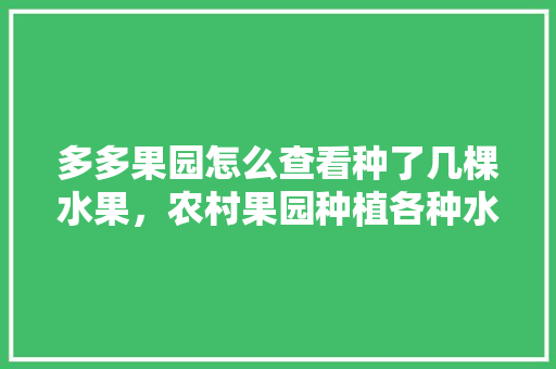 多多果园怎么查看种了几棵水果，农村果园种植各种水果图片。 水果种植