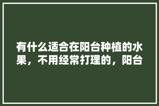 有什么适合在阳台种植的水果，不用经常打理的，阳台种植水果图片大全。 有什么适合在阳台种植的水果，不用经常打理的，阳台种植水果图片大全。 畜牧养殖